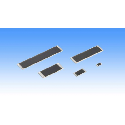 表面實(shí)裝型平板電阻器 (SM)